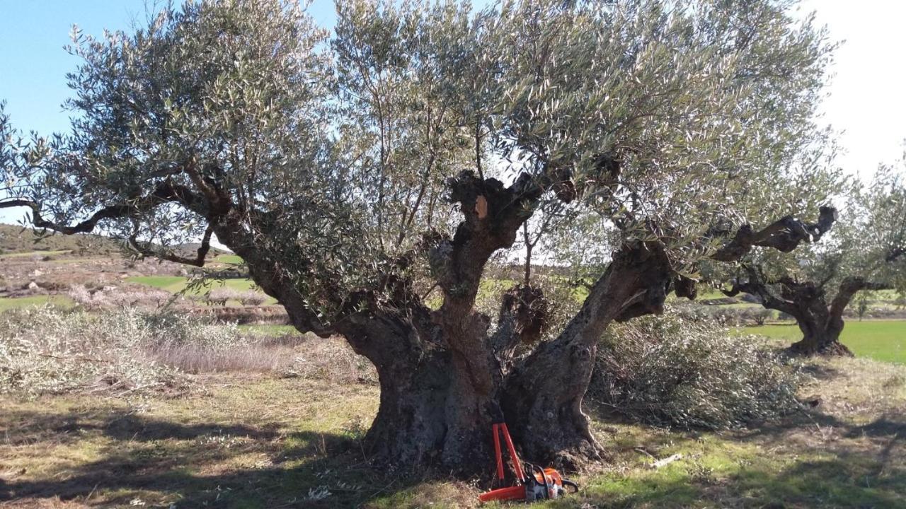 Casa Rural 643Km Villatuerta Dış mekan fotoğraf